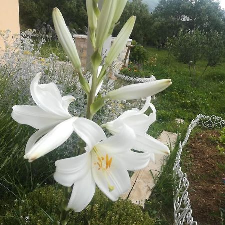 Castello Flower Apartment Kaštela Εξωτερικό φωτογραφία
