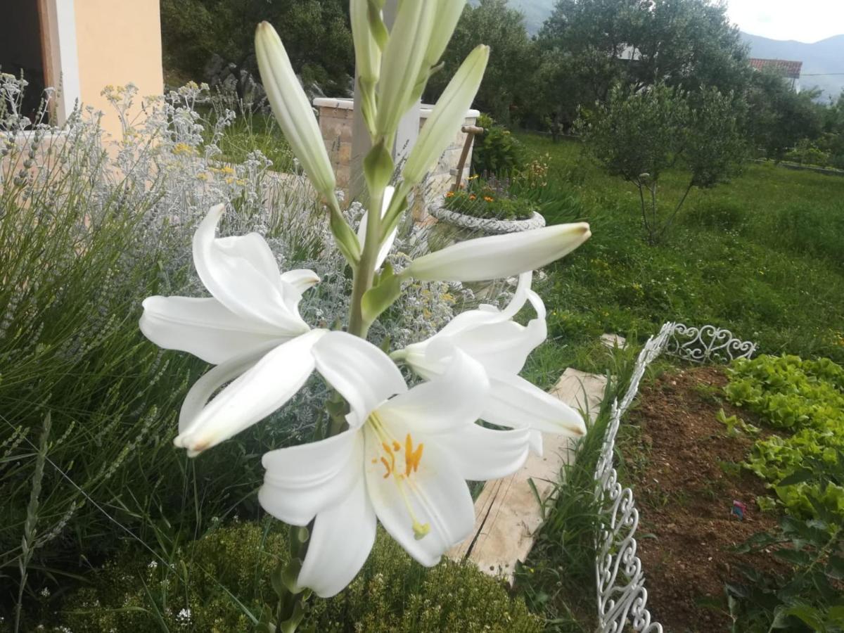 Castello Flower Apartment Kaštela Εξωτερικό φωτογραφία