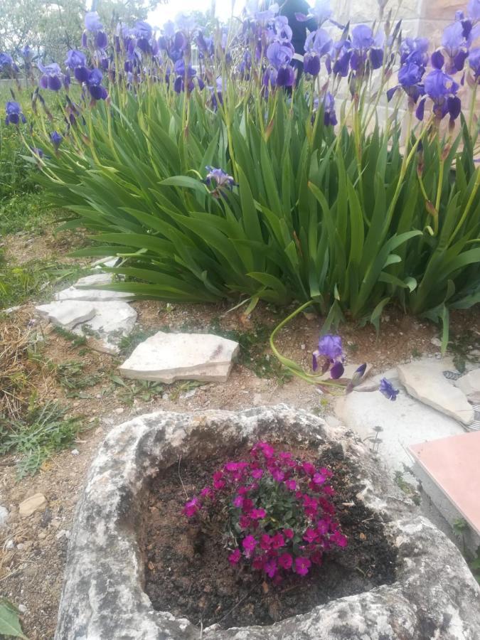 Castello Flower Apartment Kaštela Εξωτερικό φωτογραφία